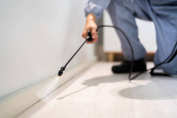 Licensed Mosquito Control service in West DeLand, FL - Show Me Pest Control