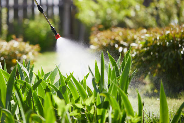 24/7 Emergency Mosquito Control experts in West DeLand, FL