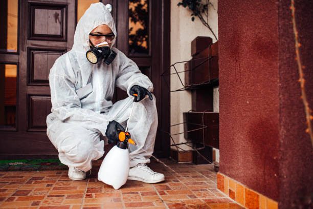 Reliable Mosquito Control contractor in West DeLand, FL by Show Me Pest Control