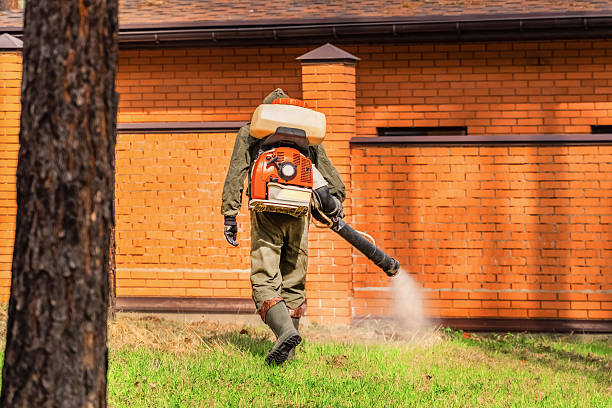 Top rated local Mosquito Control specialists in West DeLand, FL
